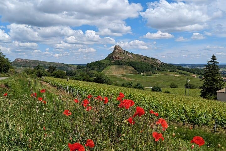 Private South Burgundy Wine Tour — Mâconnais & Beaujolais Tastings