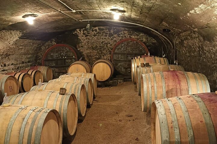 Private South Burgundy Wine Tour — Mâconnais & Beaujolais Tastings photo 5