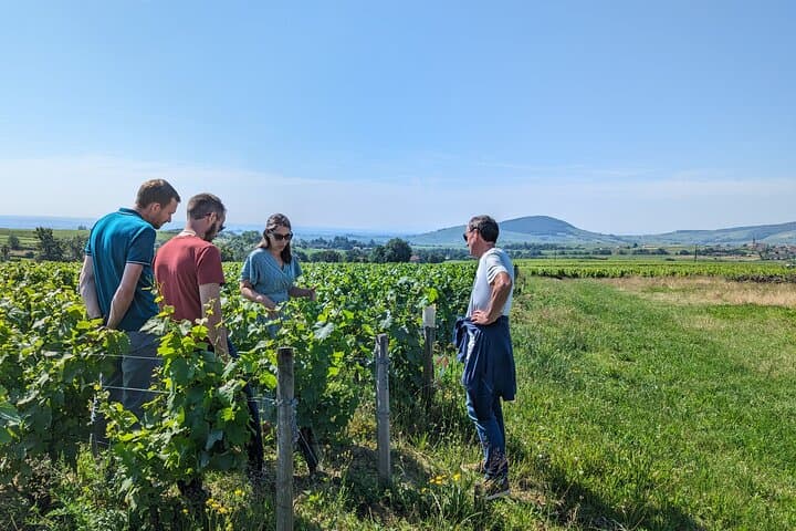 Private South Burgundy Wine Tour — Mâconnais & Beaujolais Tastings photo 6