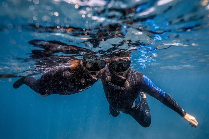 Private Snorkeling & Freediving Trip to Manta Point, Nusa Penida — Swim with Mantas and Reefs photo 4