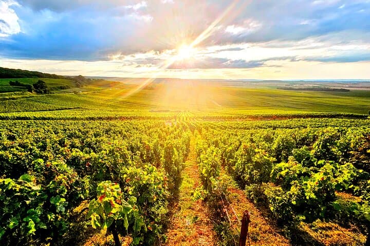 Full-Day Champagne Pommery Small-Group Tour — Reims & Épernay Cellars photo 6