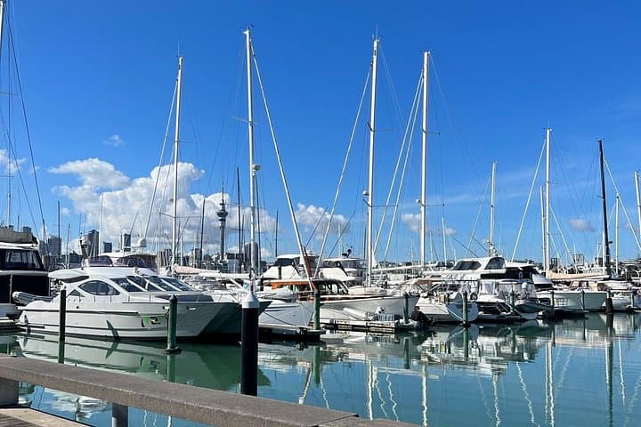 Private Auckland Harbour and Skyline Tour — Bastion Point to Westhaven