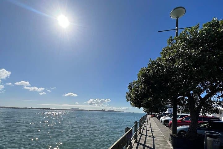 Private Auckland Harbour and Skyline Tour — Bastion Point to Westhaven photo 2