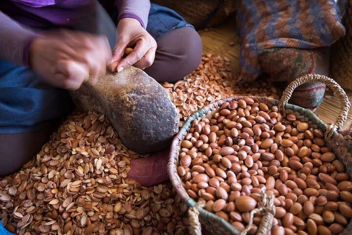 Ourika Valley Day Trip: Waterfalls, Berber Villages & Atlas Mountain Views photo 6