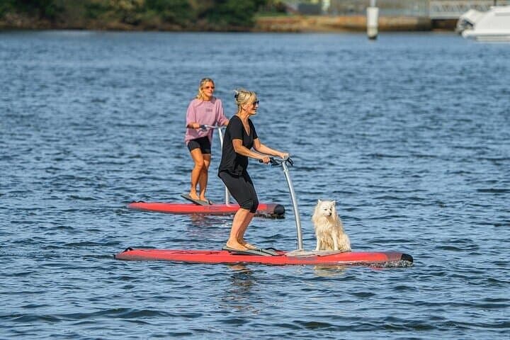 Sydney Coastal Loop: Full-Day Bondi to Manly Beaches and Ocean Vistas photo 3