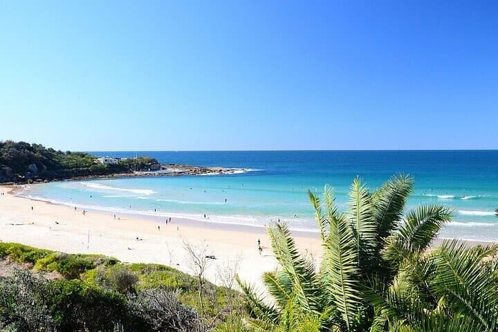Sydney Coastal Loop: Full-Day Bondi to Manly Beaches and Ocean Vistas photo 4