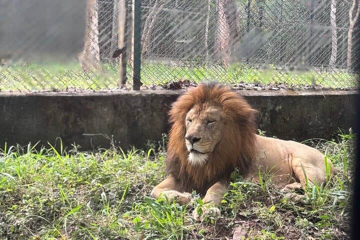 Bannerghatta Jeep Safari from Bangalore — Private Transfer & Wildlife Adventure photo 6