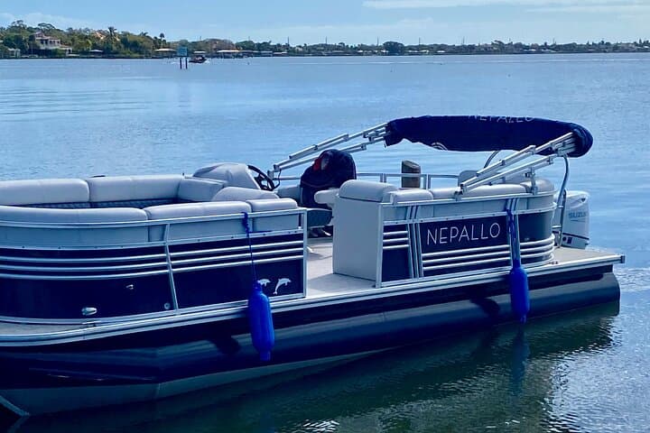 Cocoa Beach Dolphin & Manatee Intracoastal Cruise — 90-Min Wildlife Tour photo 3