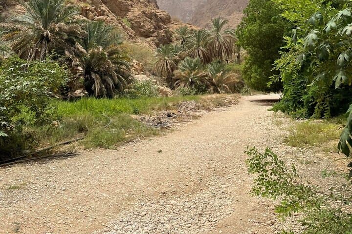 Oman’s Wadi Shab, Fins Beach, and Bimmah Sinkhole: Private Day Adventure from Muscat photo 2