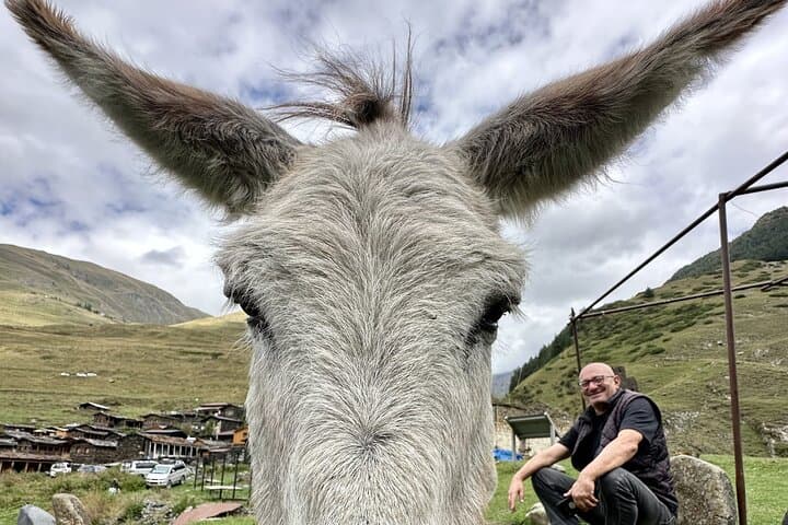 Four-Day Tusheti Highlands Trek: Omalo, Abano Pass & Alpine Villages photo 3