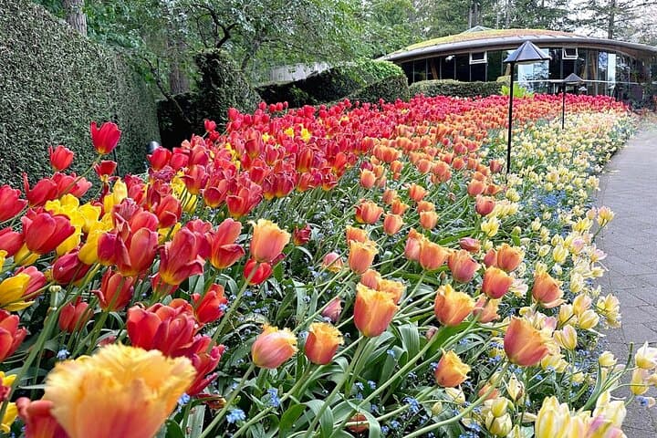 Private Butchart Gardens and Victoria City Tour — 4-Hour Luxury Sightseeing photo 3