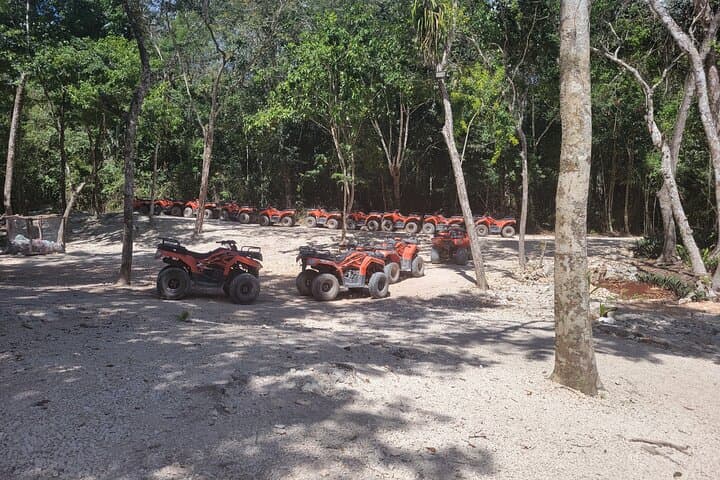 Tulum Ruins ATV, Cenote Swim & Zip-Line Adventure photo 6