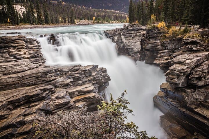 4-Day Coho Tour: Highlights of Banff & Jasper National Parks photo 6