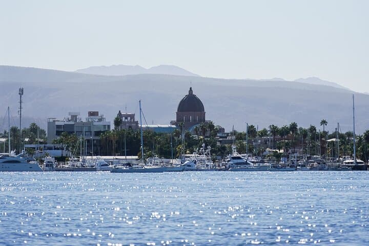 Sea Kayak Mangrove Safari at Playa La Posada — Beginner-Friendly Bay Paddle in La Paz photo 2