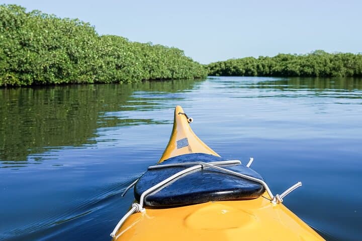 Sea Kayak Mangrove Safari at Playa La Posada — Beginner-Friendly Bay Paddle in La Paz
