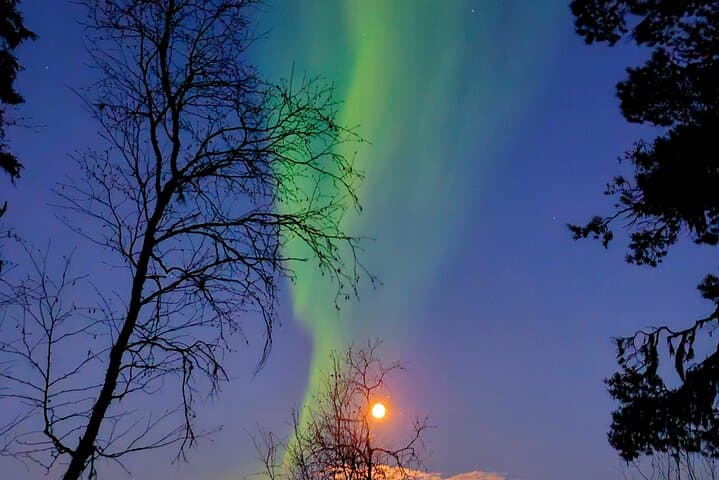 Reindeer Sleigh & Northern Lights Tour in Jukkasjärvi photo 6