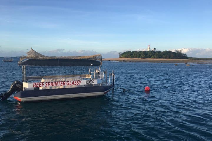 Half-Day Low Isles Lagoon Snorkel from Port Douglas — Fast Boat Access to Sheltered Reefs photo 2