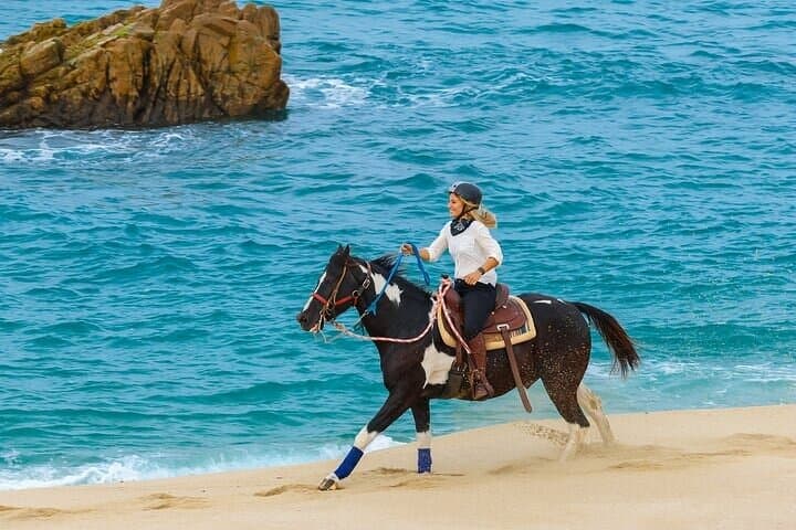 Cactus Tours Day Pass in Los Cabos — Dune Buggies, ATVs, Camel Rides & Horseback photo 5