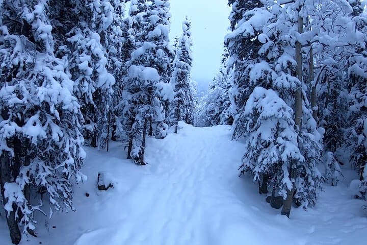Winter Valley and Forest Hike — Eagle River Snow Walk & Barbara Falls photo 4