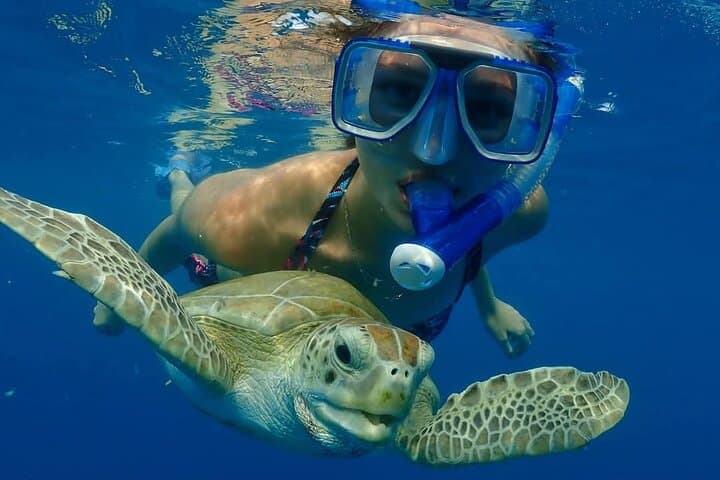 Snorkel Barbados Shipwrecks: Explore the Berwyn & Bajan Queen in Carlisle Bay photo 4