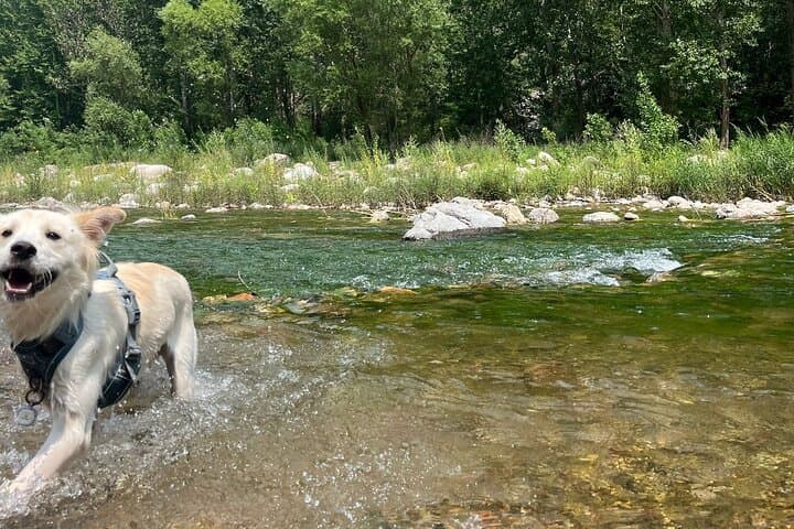 Hike and Swim the Clear Water River Near Beijing: A Mountain River Day Trip photo 4