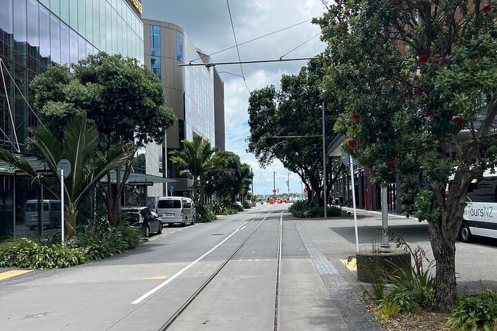 Private Auckland Harbour and Skyline Tour — Bastion Point to Westhaven photo 6