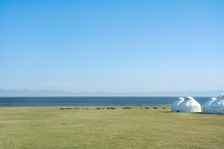 Epic Kyrgyzstan Road Trip: Bishkek to Osh via Issyk-Kul & Song-Kol