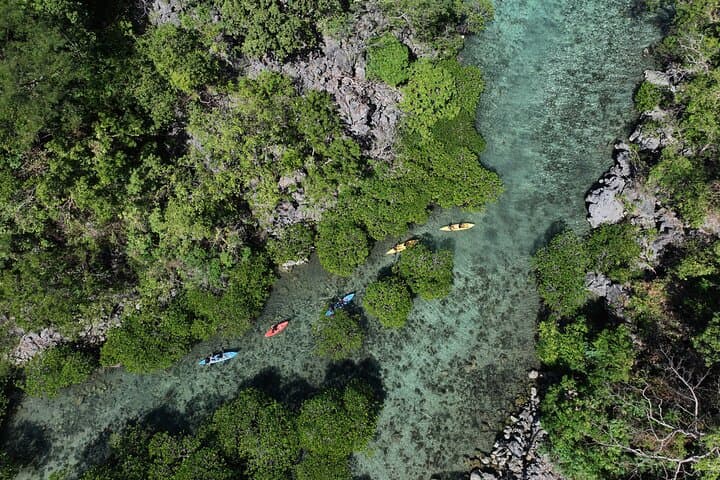 Coron Geo-X: Webs, Lagoons & Reefs — Half-Day Eco Adventure in Coron photo 3