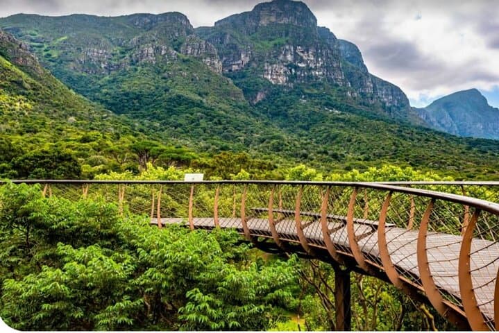 5-Day Cape Town: Robben Island, Table Mountain, Big Five Safari & Winelands photo 4