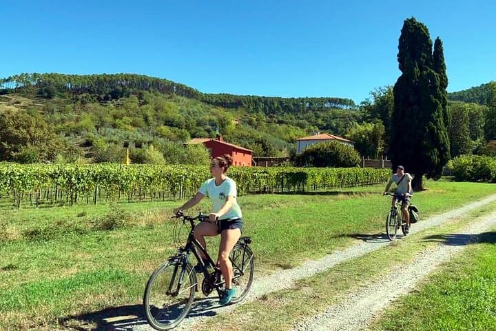 Lucchesi Hills Guided Bike Tour: Serchio River Gravel Loop & Olive Grove Lanes photo 2