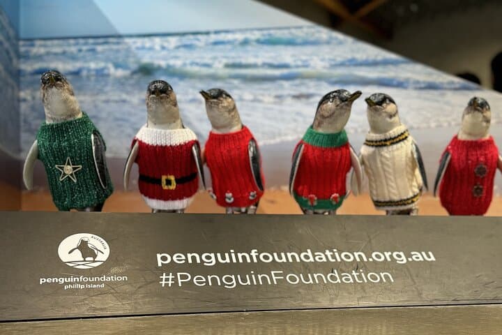 Phillip Island Penguin Parade & Wildlife Tour from Melbourne — Private Day Trip