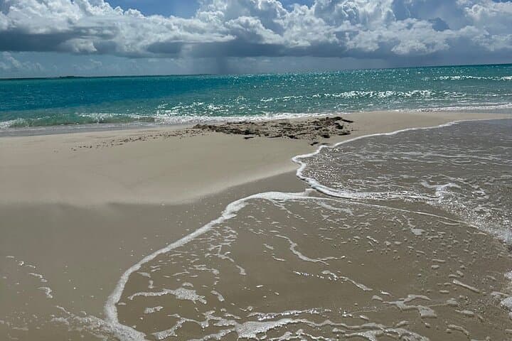 Half-Day Private Sun & Snorkel in Providenciales — Reefs, Sandbars and Iguana Island photo 6