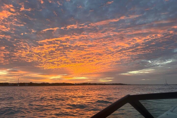 Half-Day Private Sun & Snorkel in Providenciales — Reefs, Sandbars and Iguana Island photo 2