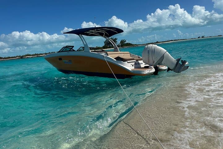 Half-Day Private Sun & Snorkel in Providenciales — Reefs, Sandbars and Iguana Island photo 4