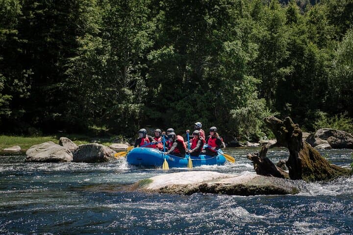 Lower Trancura River Rafting: Class III Rapids near Pucón photo 5