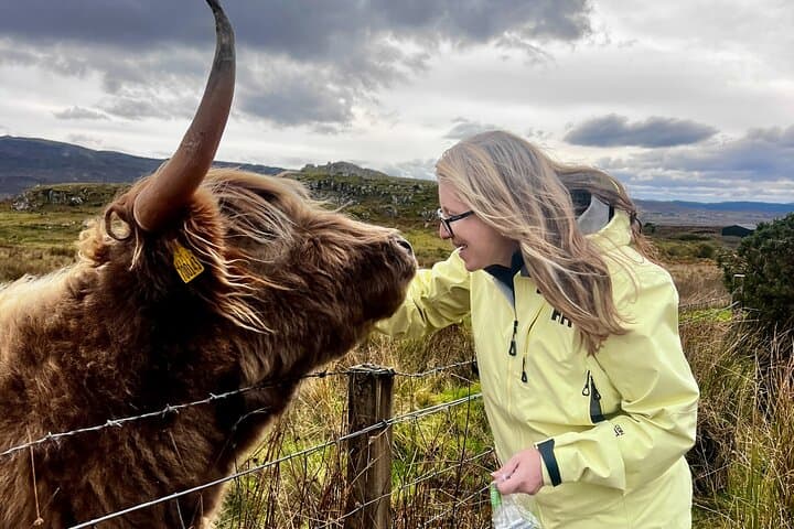 Isle of Skye Full-Day Adventure: Hike Old Man of Storr, Quiraing & Kilt Rock photo 3