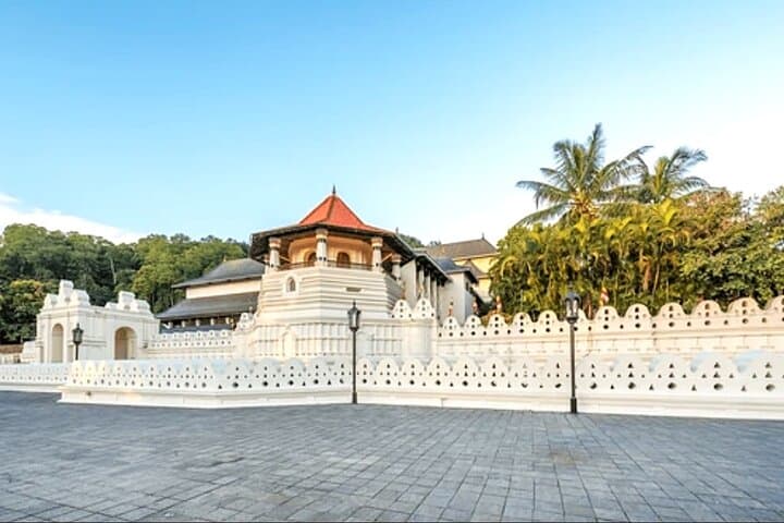 Kandy & Ceylon Tea Plantations Day Trip from Colombo — Temple, Gardens & Tea Tasting photo 2