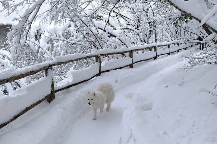 Plitvice Lakes Day Trip from Zagreb: Private Tour to Rastoke & National Park photo 3