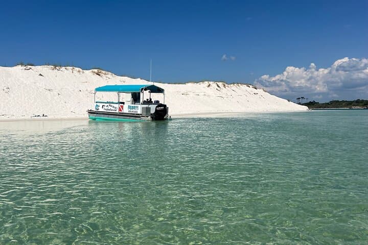 Frisky Mermaid Pensacola Bay Cruise: 2-Hour Snorkel, Dolphin Watching & Local History photo 1