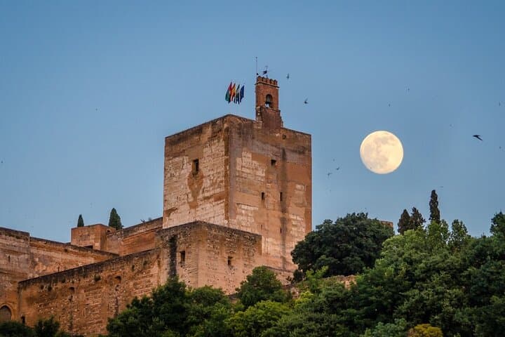 Private Alhambra and Granada Day Trip from Almería — 3‑Hour Guided Tour photo 4