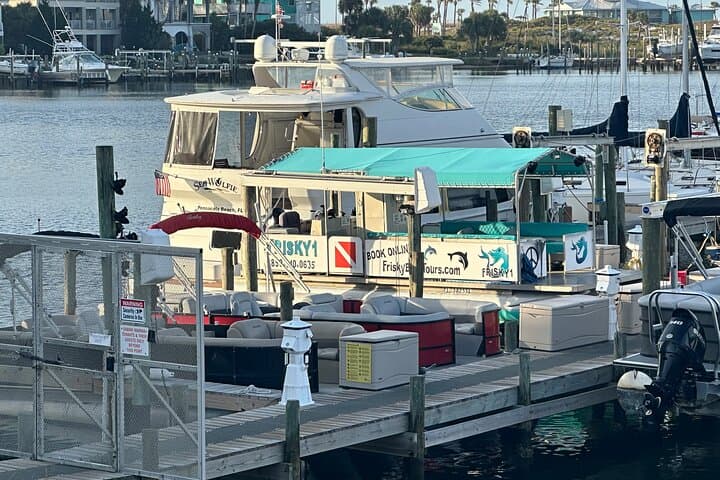 Frisky Mermaid Pensacola Bay Cruise: 2-Hour Snorkel, Dolphin Watching & Local History photo 2