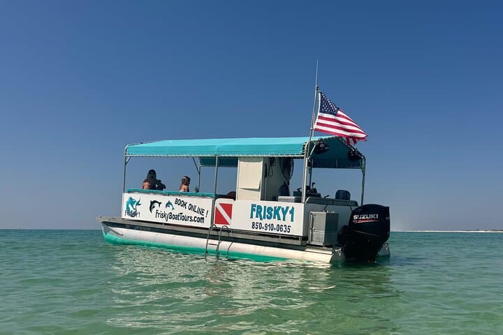 Frisky Mermaid Pensacola Bay Cruise: 2-Hour Snorkel, Dolphin Watching & Local History photo 3