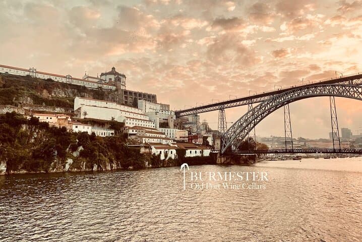 Exclusive Burmester Cellars Private Port Tasting in Porto
