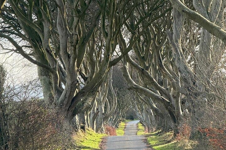 Private Luxury Giant's Causeway Tour from Dublin: Dunluce Castle & Dark Hedges photo 5