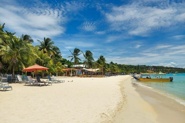 Roatan Wildlife Adventure and West Bay Beach Day Trip photo 6