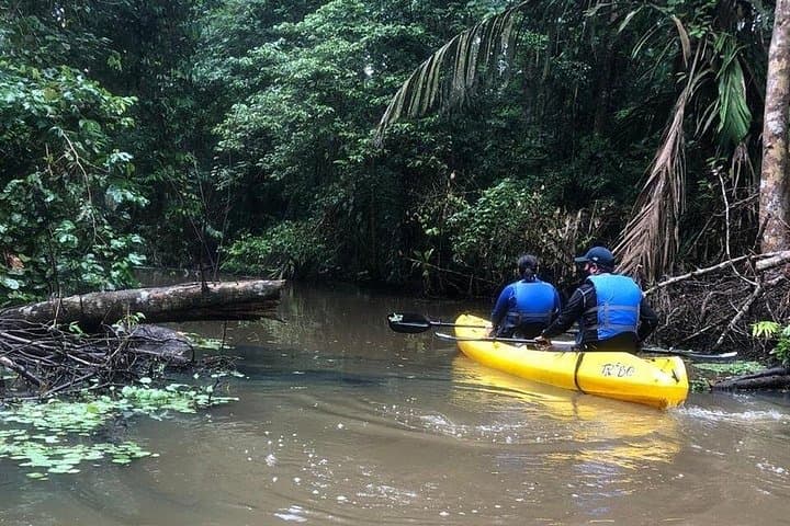 Paddle the Channels: Guided Kayak Tour in Tortuguero National Park photo 1