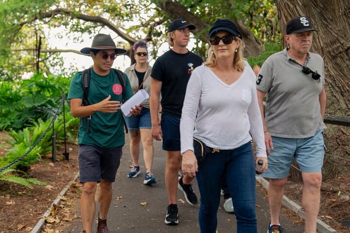 Sydney Botanic Gardens Foraging Walk & Native Picnic: A Guided Urban Food Tour photo 5