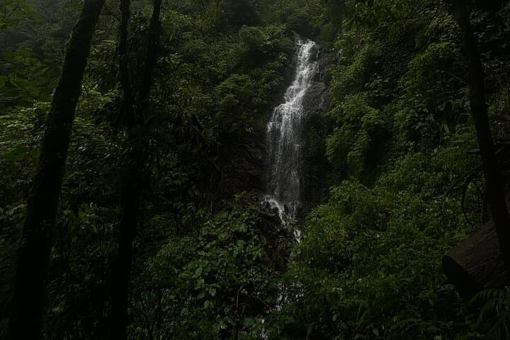 El Tigre Waterfall Private Tour — Monteverde Cloud Forest Hike & Horseback Return photo 4