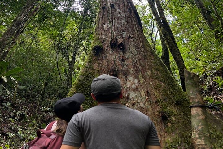 El Tigre Waterfall Private Tour — Monteverde Cloud Forest Hike & Horseback Return photo 5