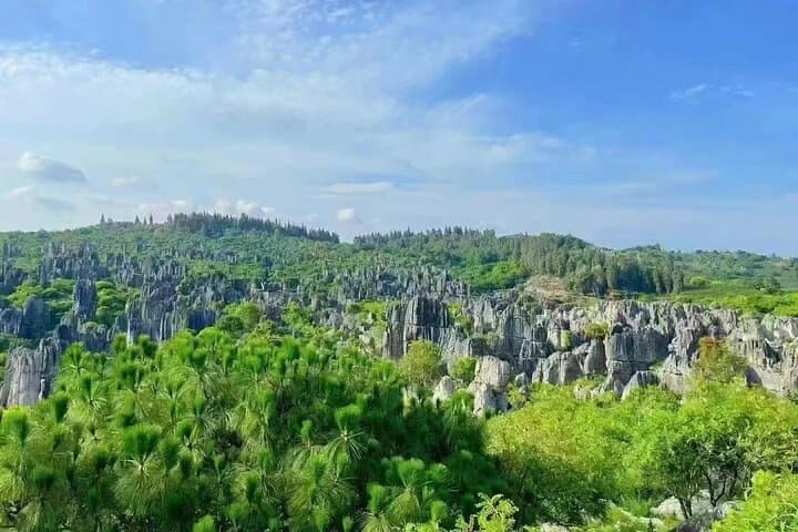 Stone Forest & Yiliang Roast Duck: Private Day Tour from Kunming photo 5